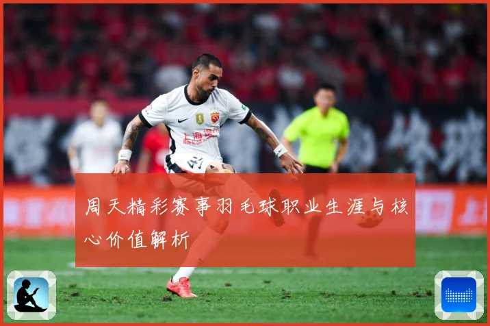 周天精彩赛事羽毛球职业生涯与核心价值解析