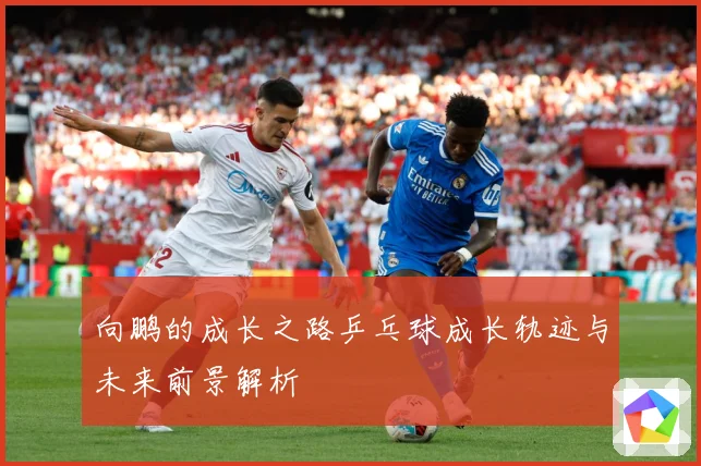 向鹏的成长之路乒乓球成长轨迹与未来前景解析