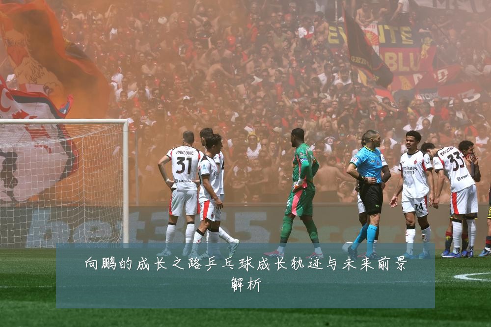 向鹏的成长之路乒乓球成长轨迹与未来前景解析