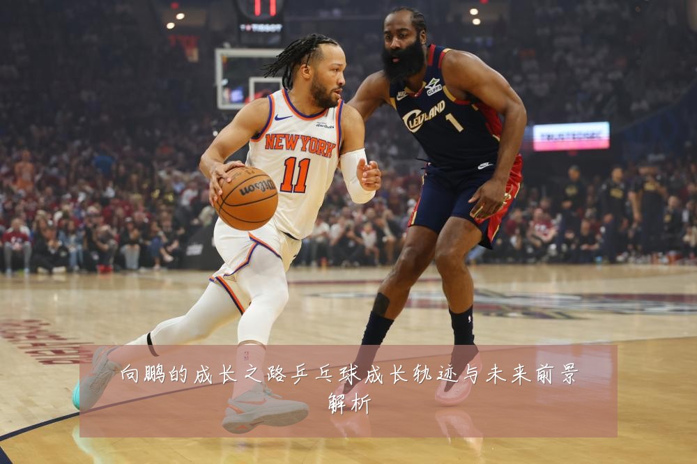 向鹏的成长之路乒乓球成长轨迹与未来前景解析